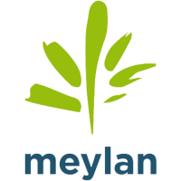 Meylan-B.png